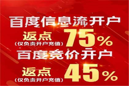 网络推广竞价实战案例分析集